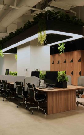 Processed with VSCO with al1 preset